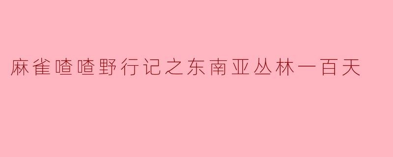 麻雀喳喳野行记之东南亚丛林一百天