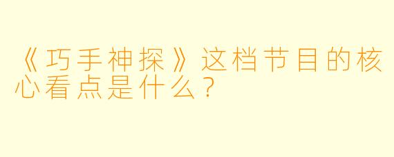 《巧手神探》这档节目的核心看点是什么?
