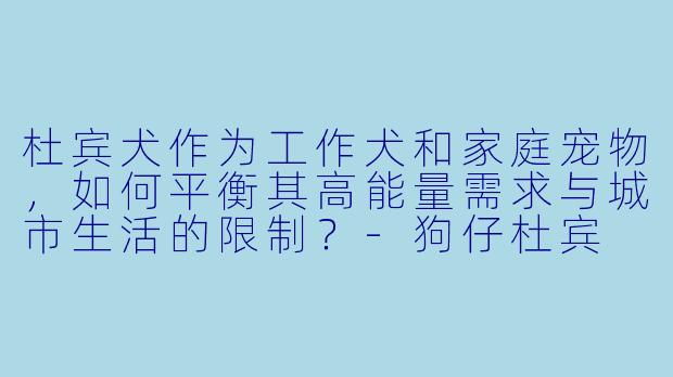 杜宾犬作为工作犬和家庭宠物,如何平衡其高能量需求与城市生活的限制?