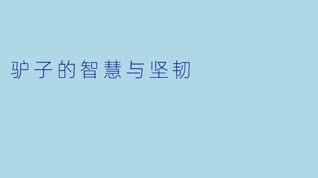 驴子的智慧与坚韧