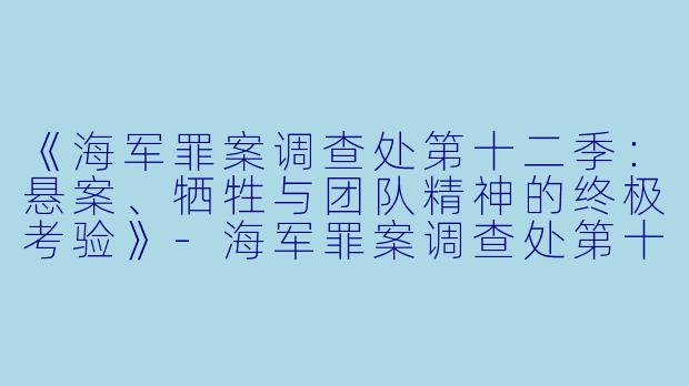 《海军罪案调查处第十二季：悬案、牺牲与团队精神的终极考验》-海军罪案调查处第十二季