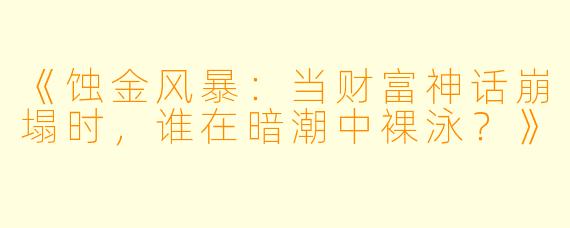《蚀金风暴：当财富神话崩塌时，谁在暗潮中裸泳？》