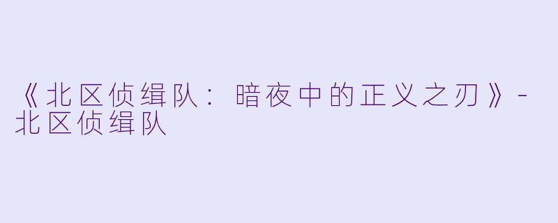 《北区侦缉队：暗夜中的正义之刃》-北区侦缉队
