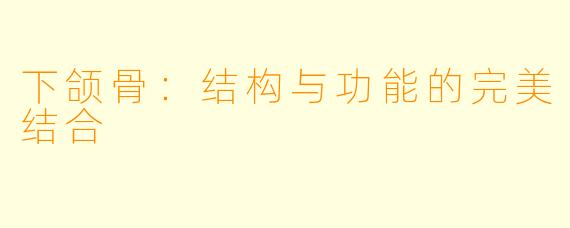 下颌骨：结构与功能的完美结合
