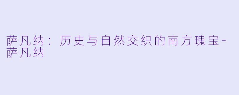 萨凡纳：历史与自然交织的南方瑰宝-萨凡纳