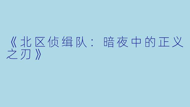 《北区侦缉队：暗夜中的正义之刃》