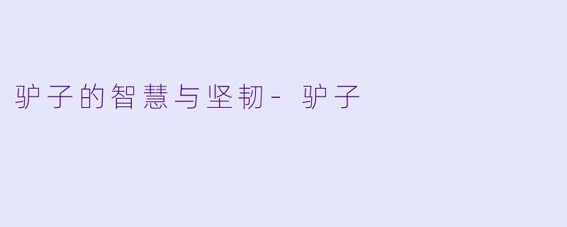 驴子的智慧与坚韧-驴子