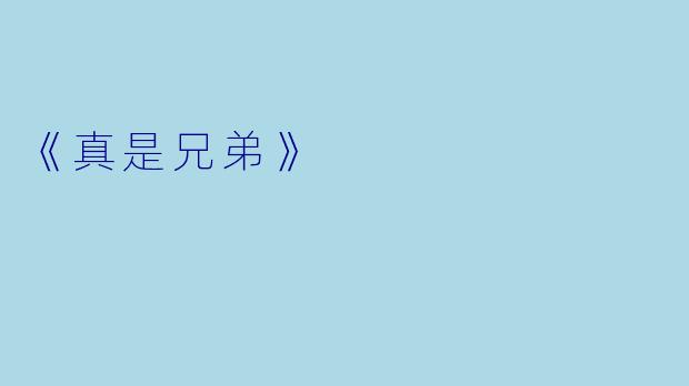 《真是兄弟》