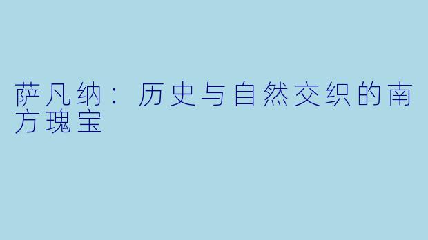 萨凡纳：历史与自然交织的南方瑰宝