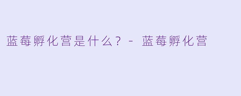 蓝莓孵化营是什么?