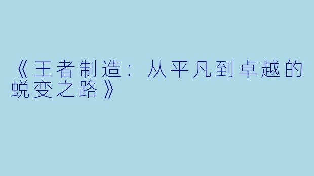 《王者制造：从平凡到卓越的蜕变之路》