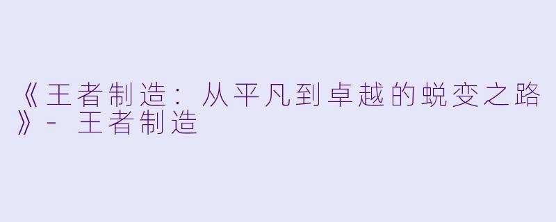 《王者制造：从平凡到卓越的蜕变之路》-王者制造