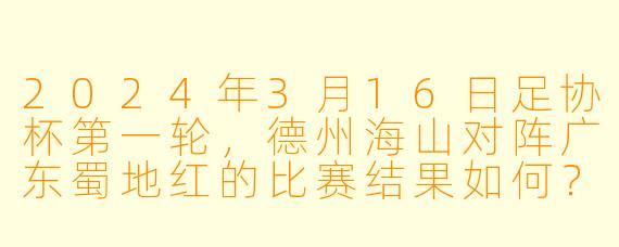 2024年3月16日足协杯第一轮,德州海山对阵广东蜀地红的比赛结果如何?