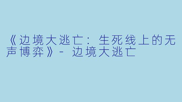 《边境大逃亡：生死线上的无声博弈》