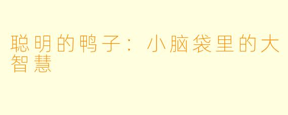 聪明的鸭子：小脑袋里的大智慧