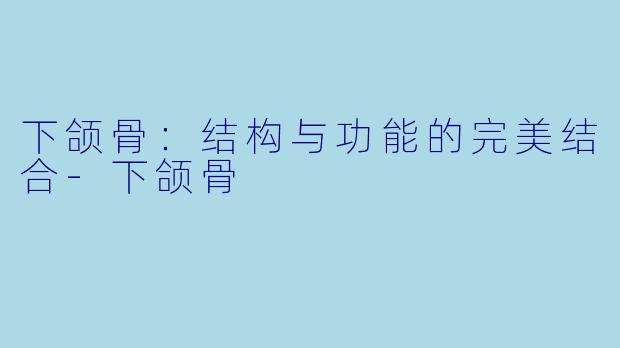 下颌骨：结构与功能的完美结合-下颌骨