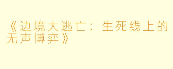 《边境大逃亡：生死线上的无声博弈》