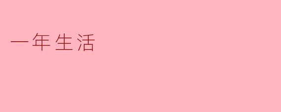 一年生活