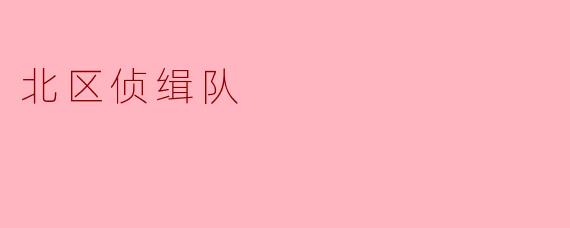 《北区侦缉队:暗夜中的正义之刃》