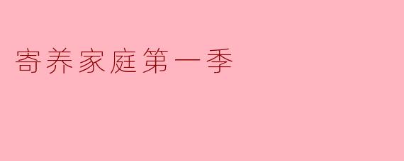 《寄养家庭第一季》主要讲述了什么故事?