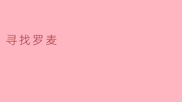 《寻找罗麦：一场跨越时空的心灵救赎之旅》