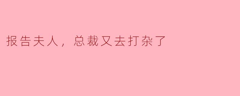 报告夫人，总裁又去打杂了