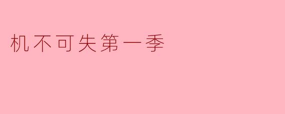 《机不可失》第一季:一场智慧与勇气的博弈盛宴