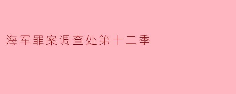 《海军罪案调查处第十二季:悬案、牺牲与团队精神的终极考验》