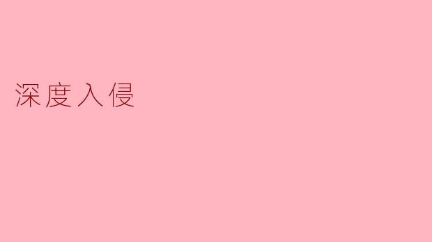 深度入侵