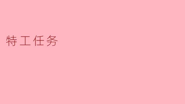 特工任务