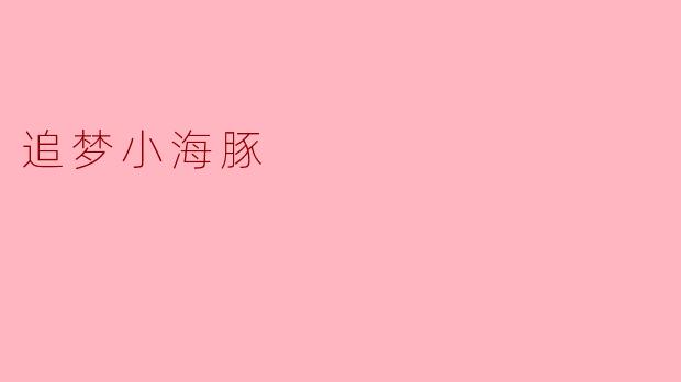 追梦小海豚