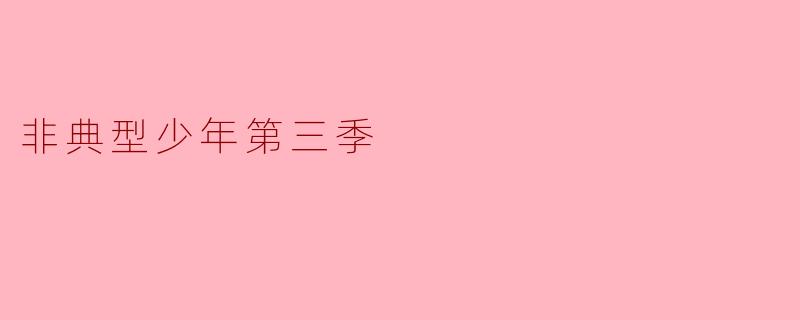 非典型少年第三季
