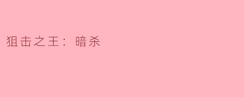 狙击之王：暗杀