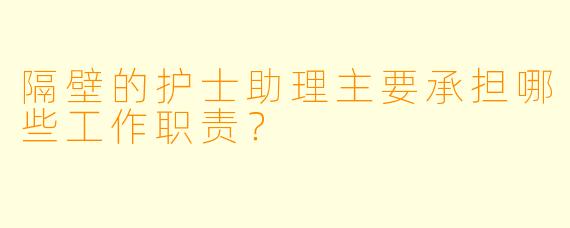 隔壁的护士助理主要承担哪些工作职责？